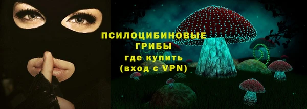 ешки Ладушкин