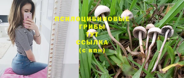 ешки Куйбышев