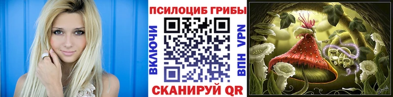 Галлюциногенные грибы GOLDEN TEACHER  где можно купить   Волгодонск 